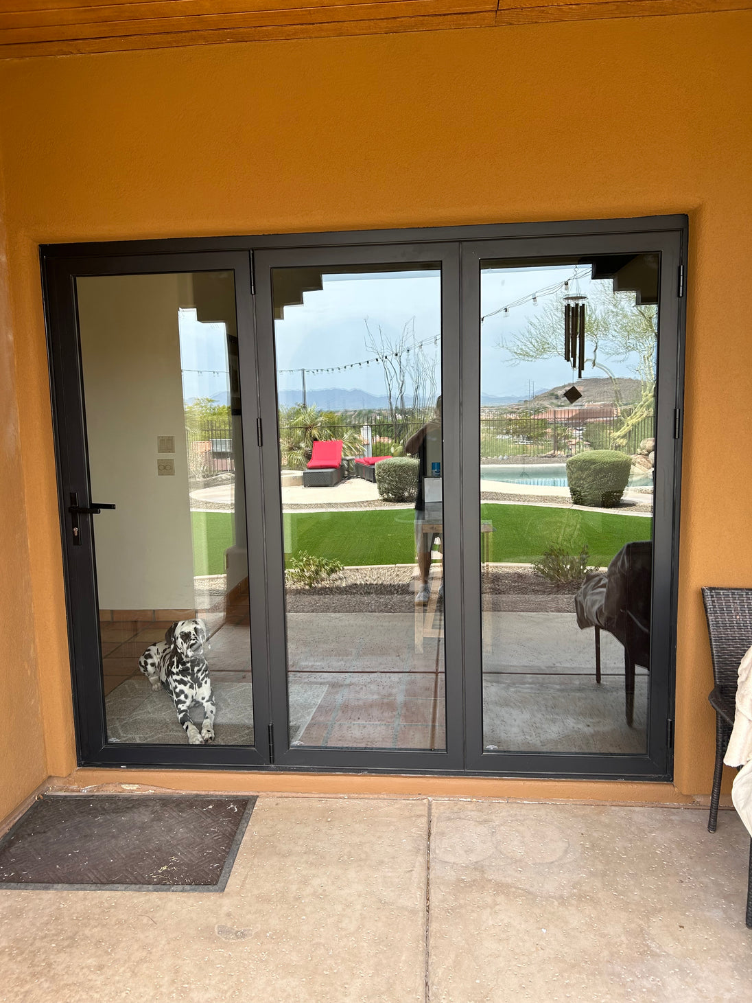 Dalmatian looking through updated folding patio doors